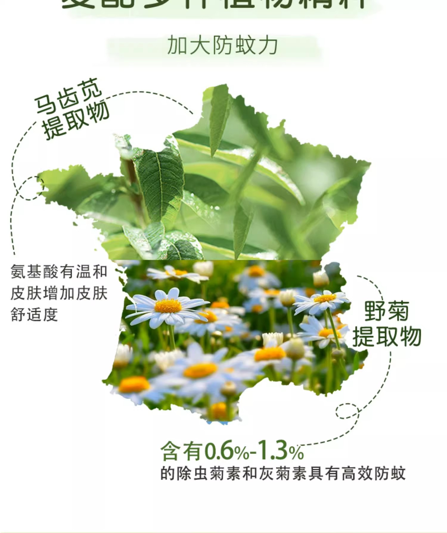 详情图09.jpg