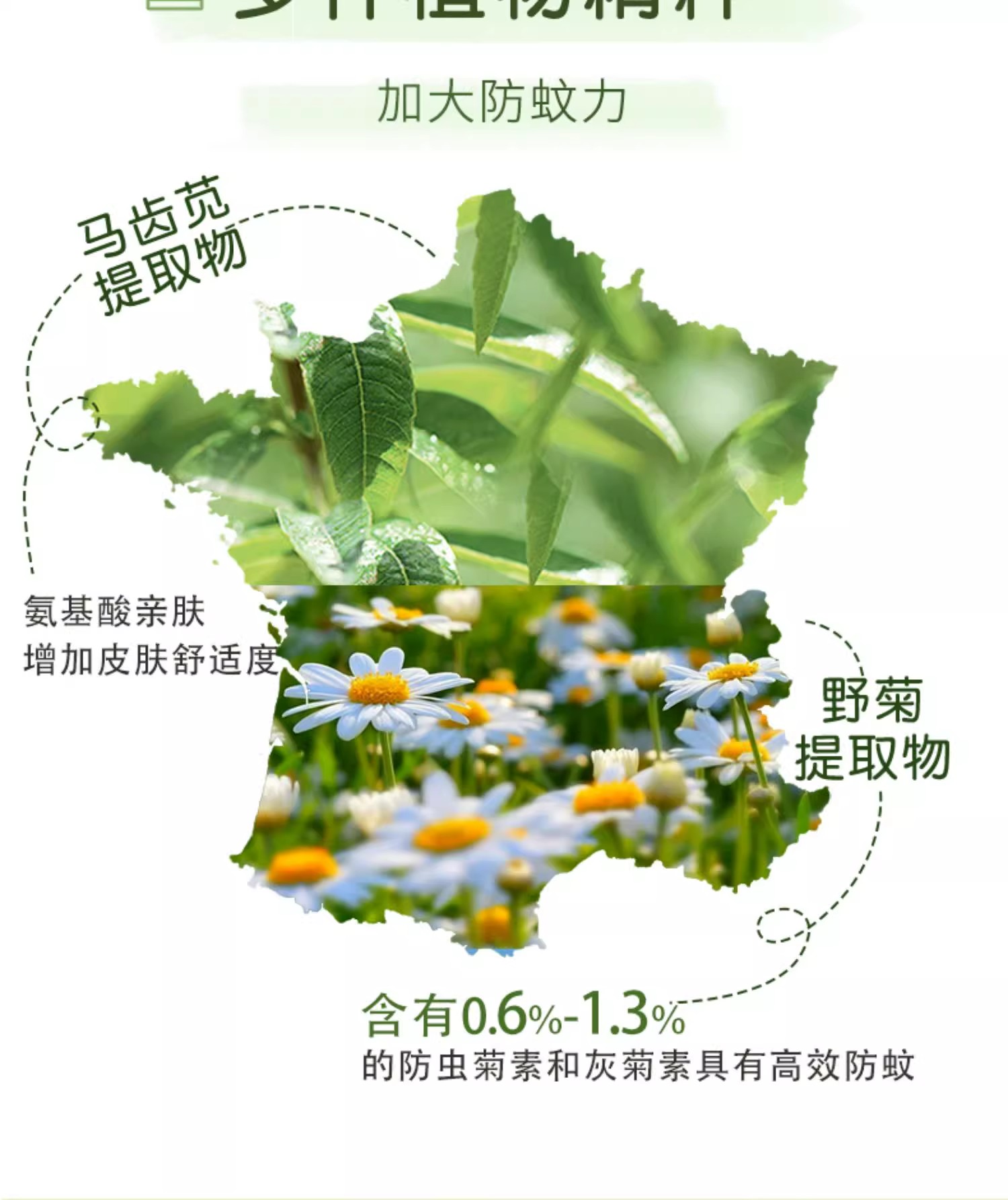 详情图09.jpg