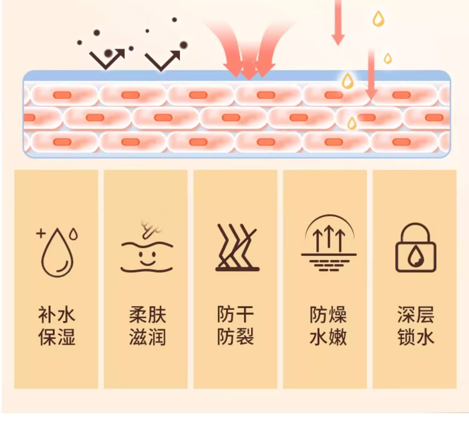 详情图14.jpg