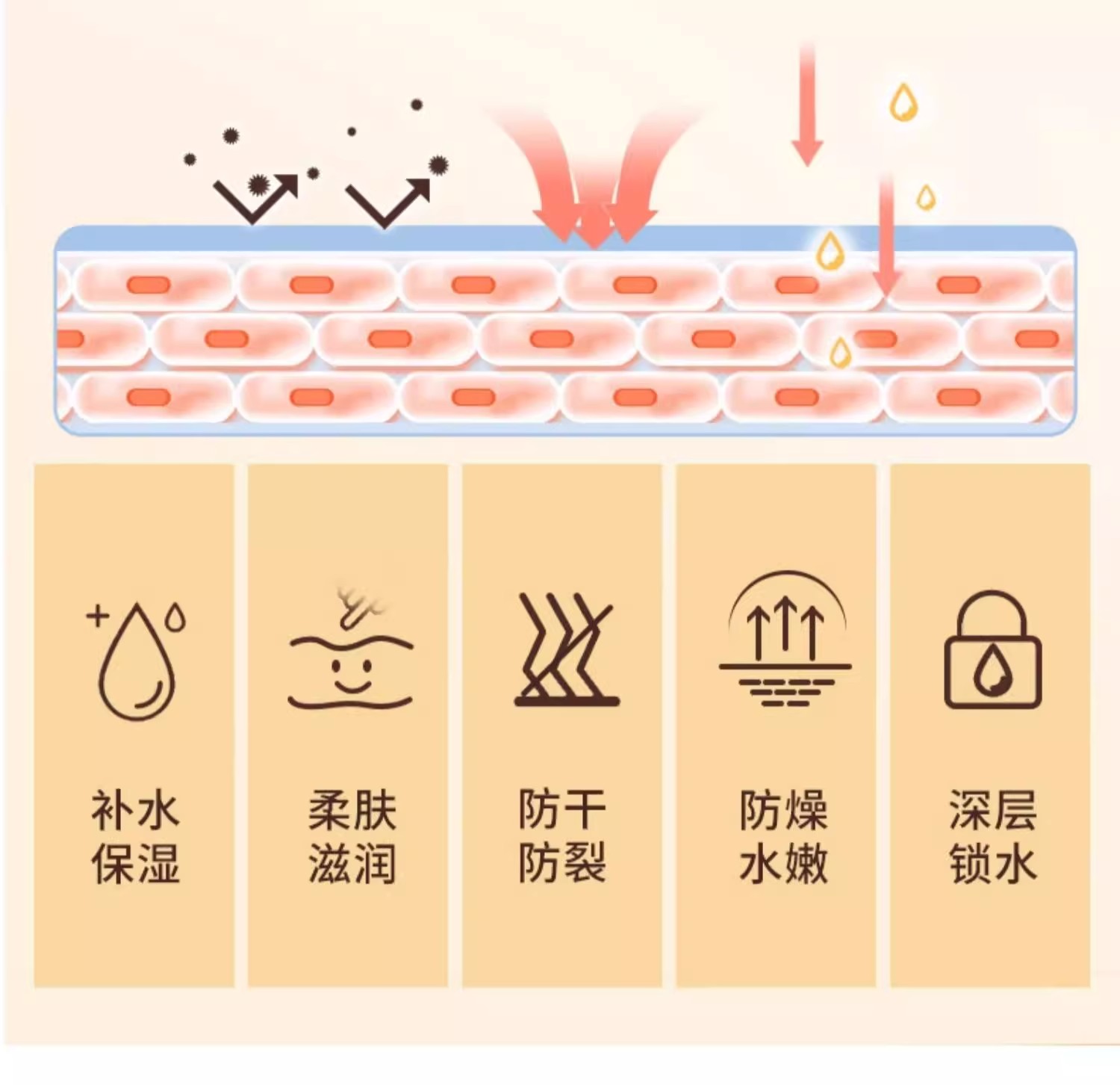 详情图13.jpg