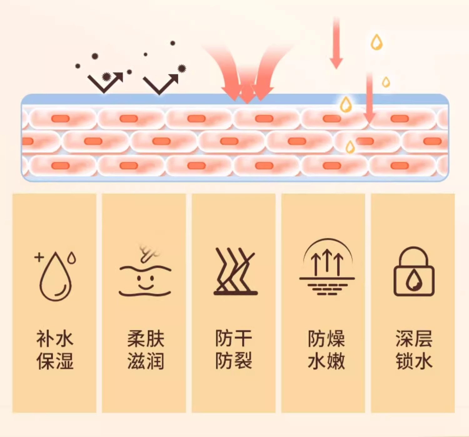 详情图15.jpg